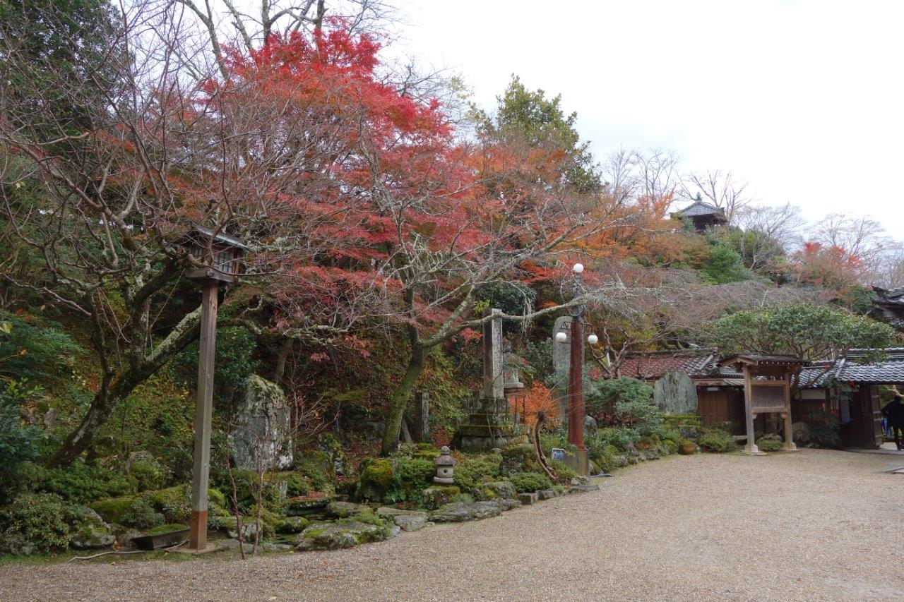 21. 竹林院の紅葉