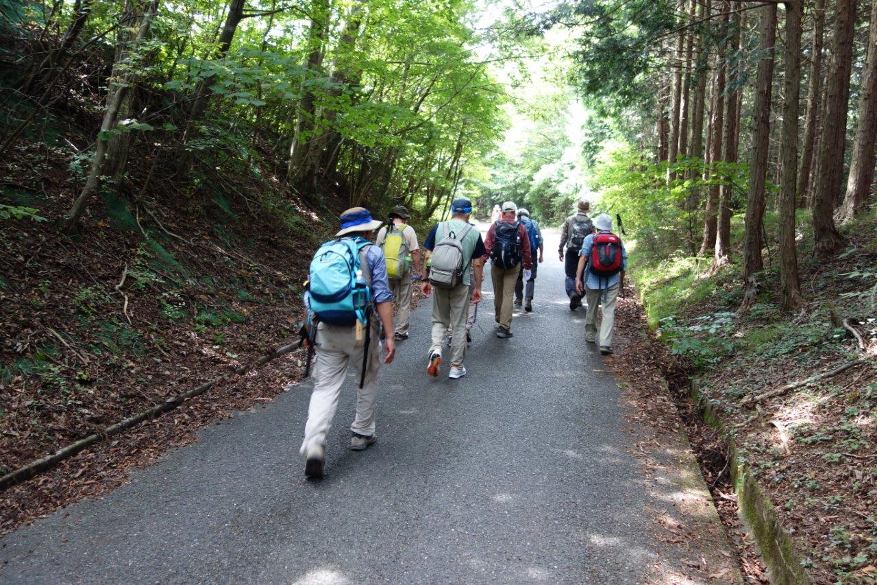 18. 舗装路を歩く