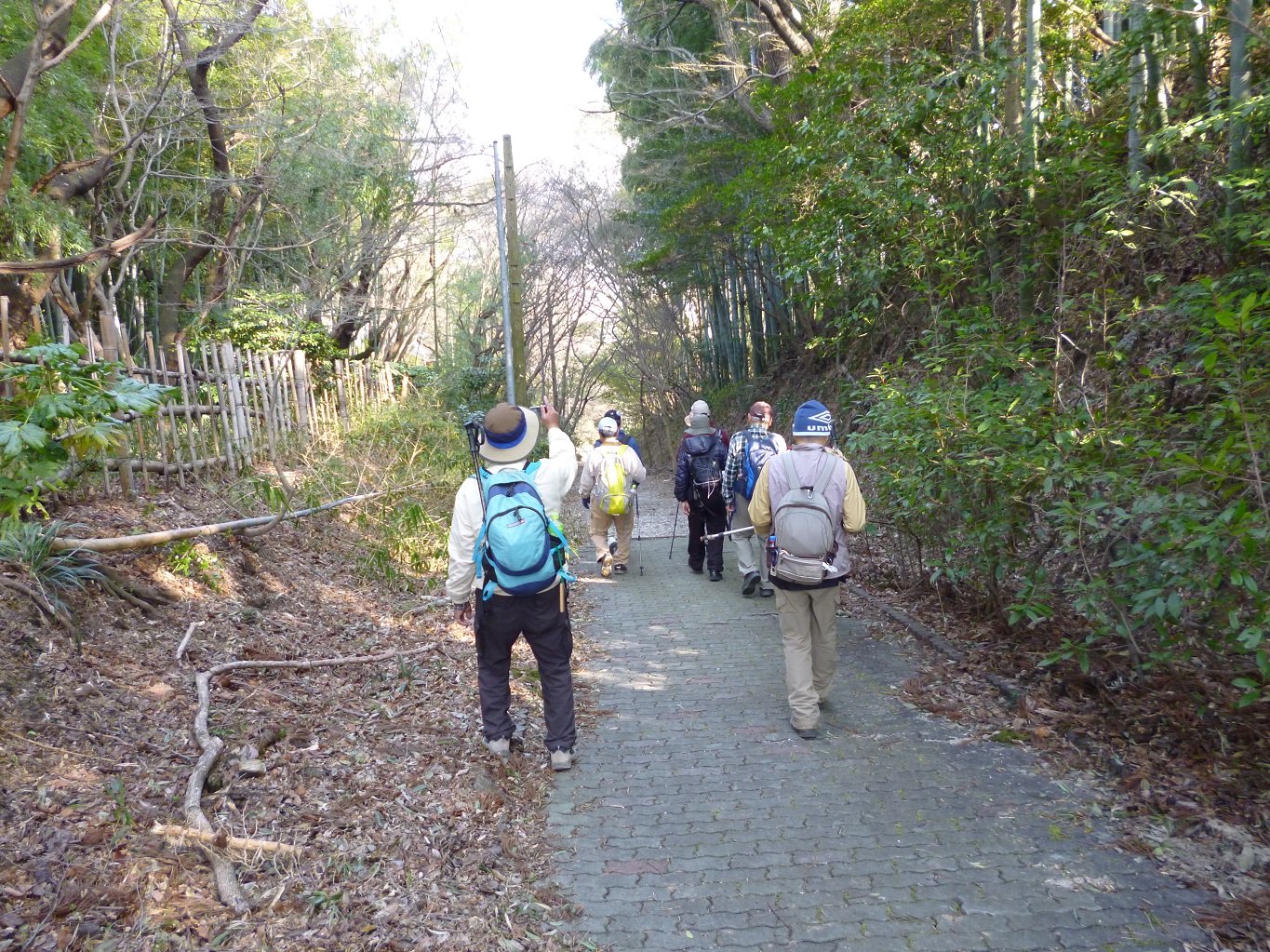 48. ケーブル線跡を下る