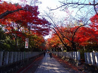 第27回(平成26年11月27日)長岡京後～1