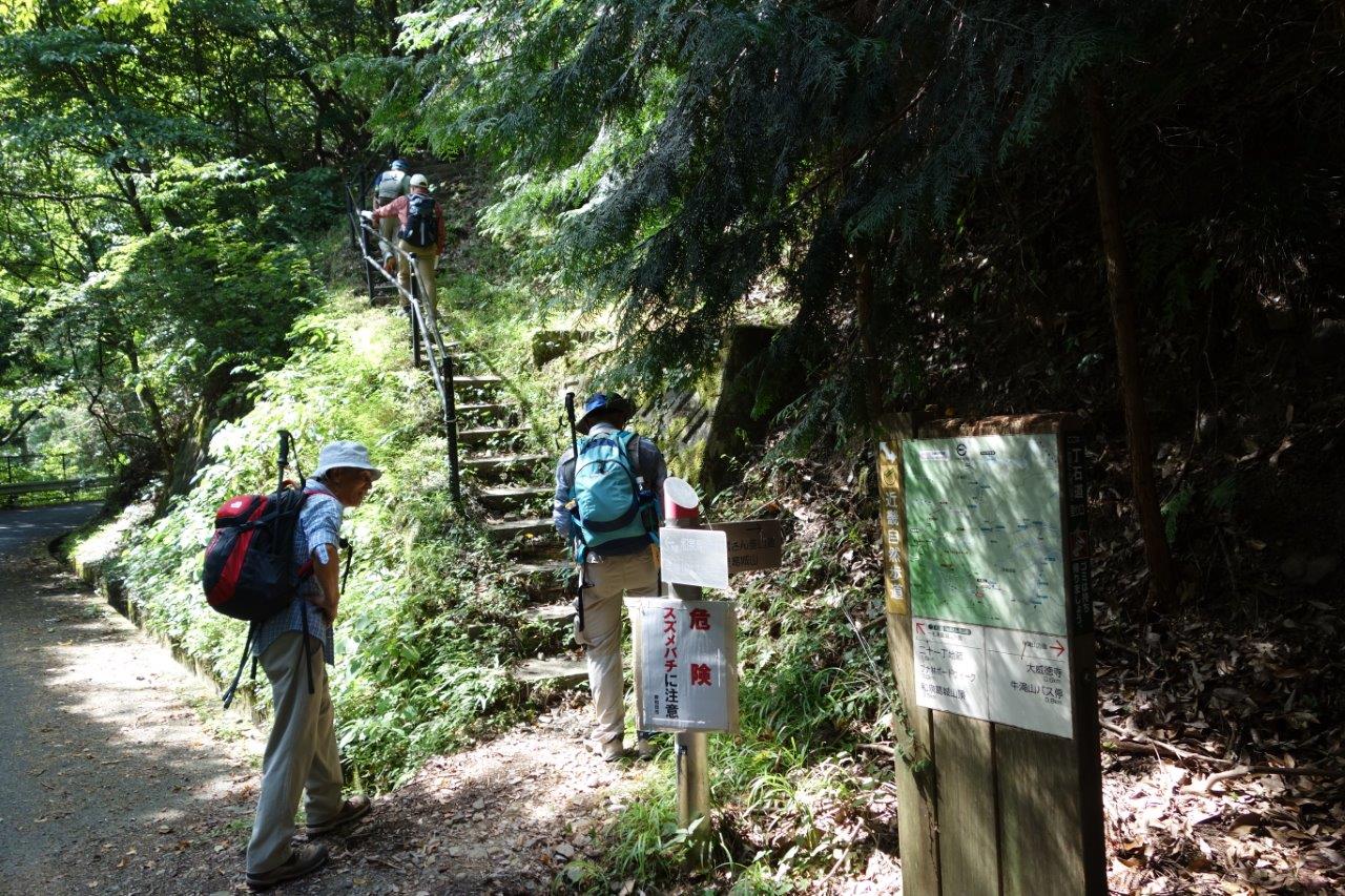 11. 丁石道登山口、ここから山頂まで3.5kmの上り坂