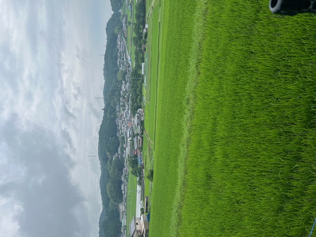 １０．大柳生の広大な棚田