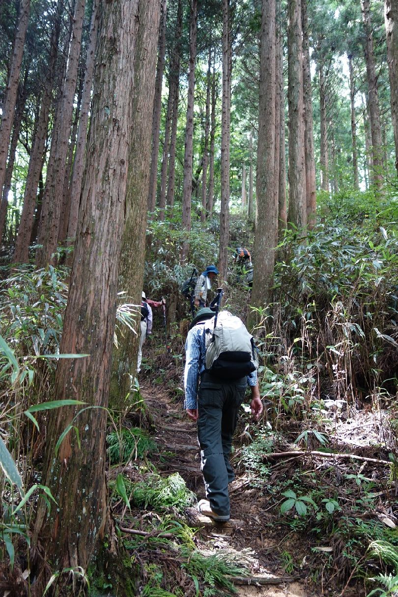 ９．楊柳山への急坂を登る