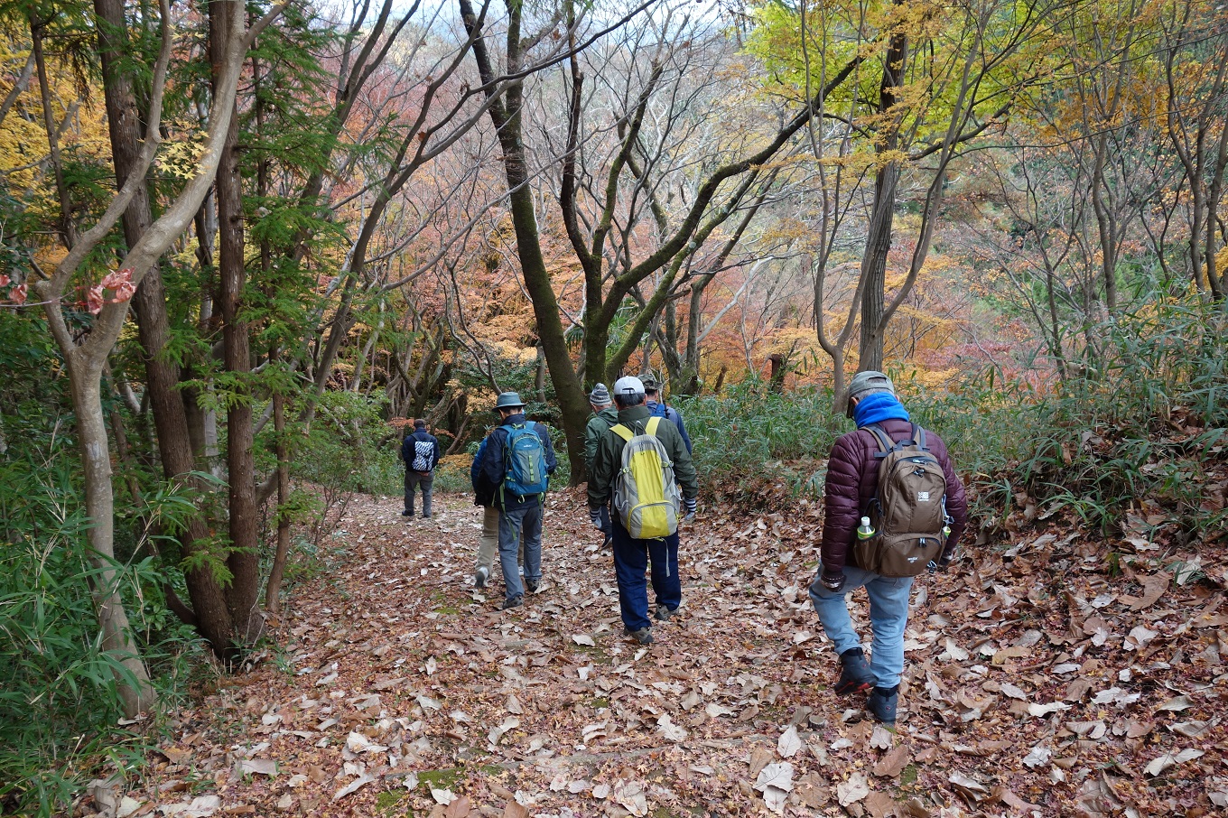 6. 昼食を終え、もみじ山を下る