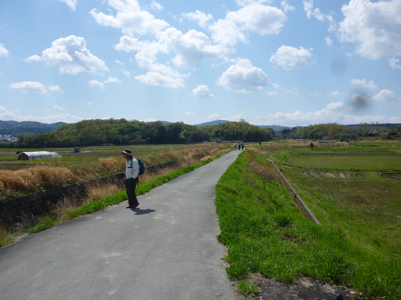 5. 田園風景を楽しむコースを歩く