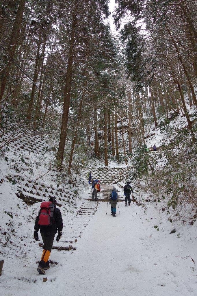 6. 二合目に向け足を運ぶ