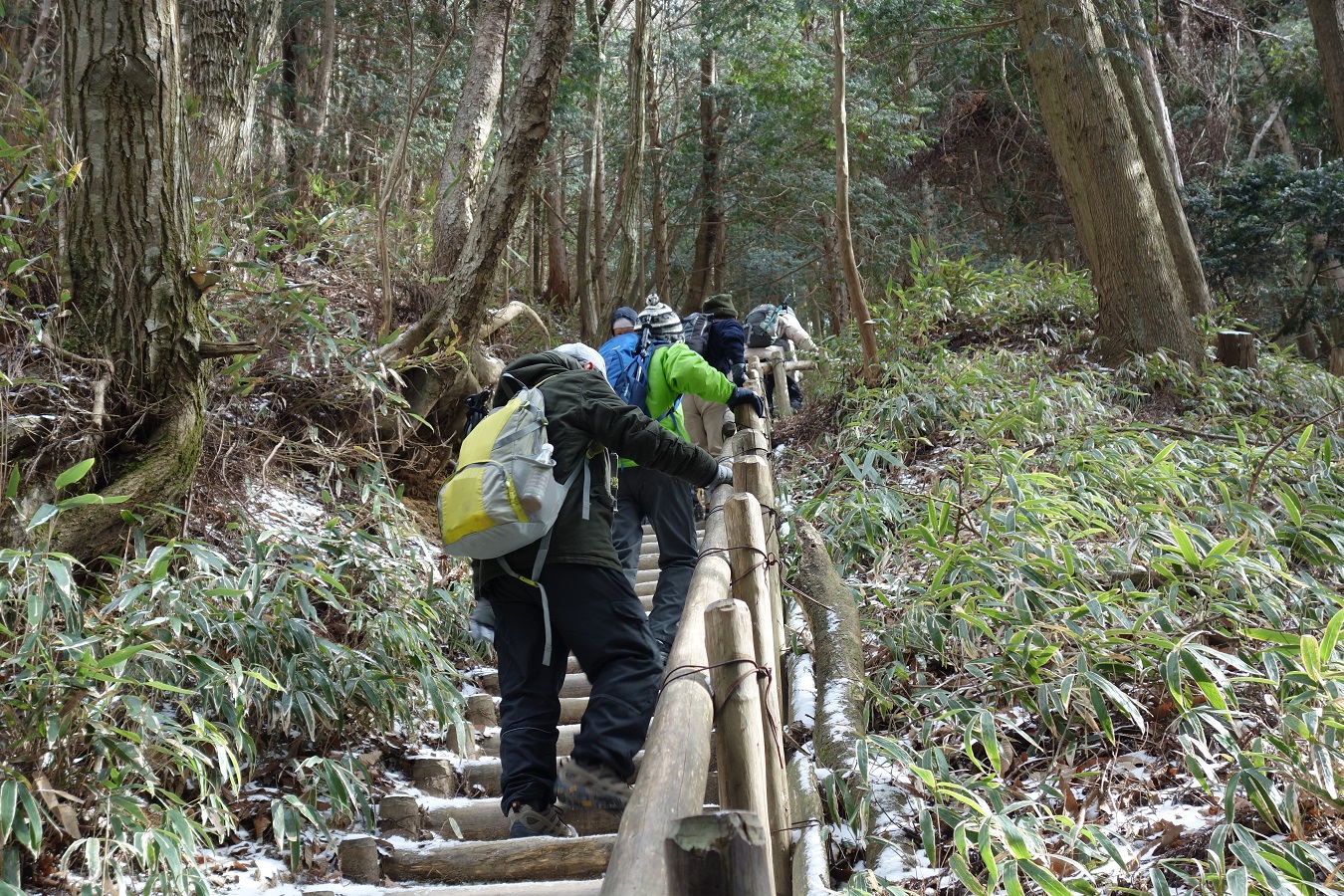 7. 心臓破りの急な木段を登る