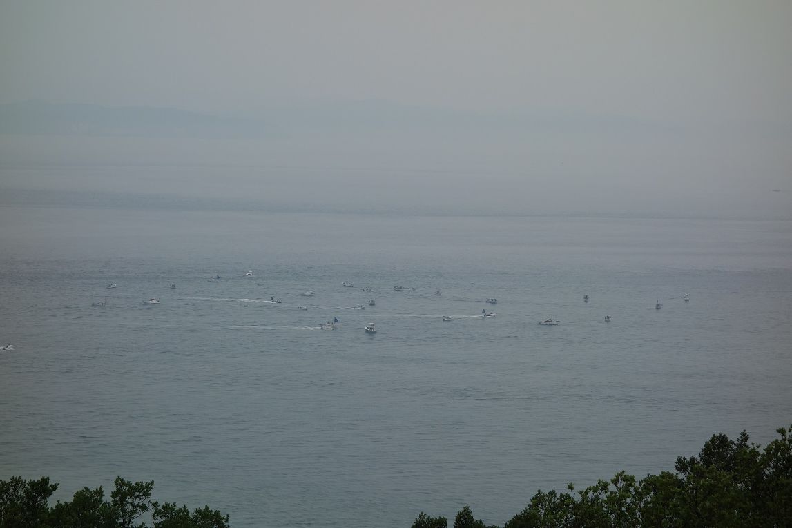 ２０．鯵釣りの船が沢山集まっている