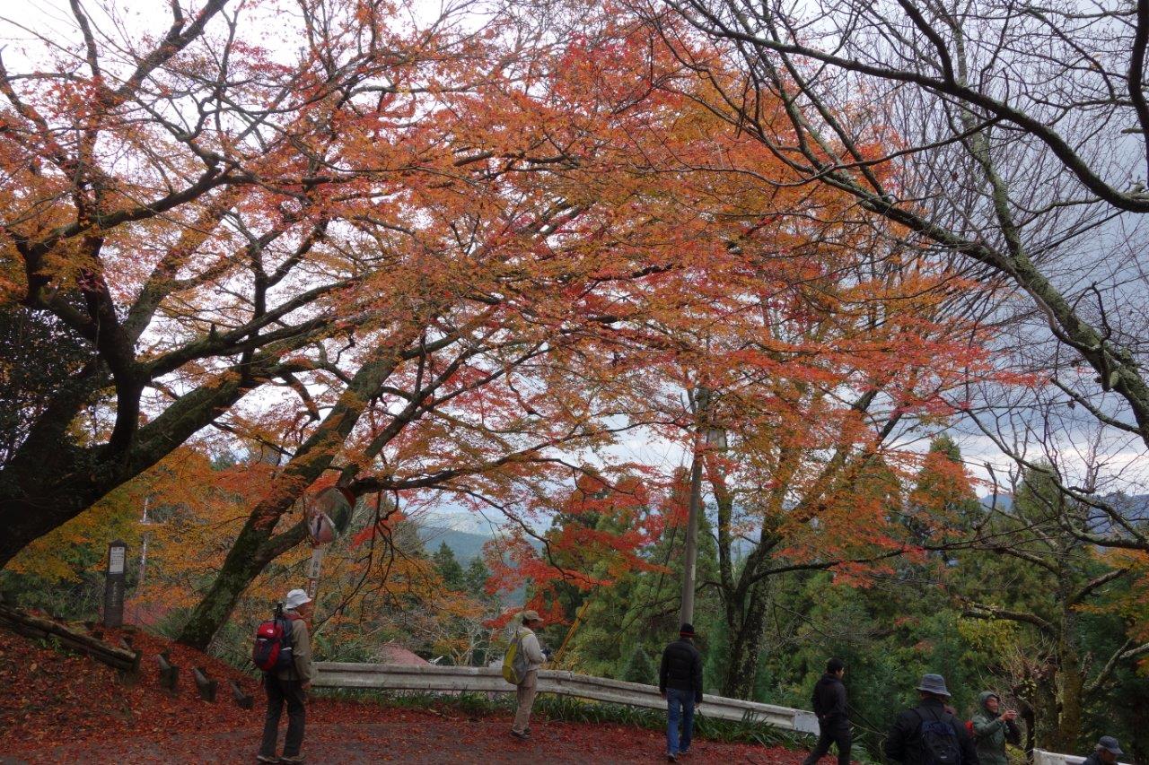 19. 上千本を下る②