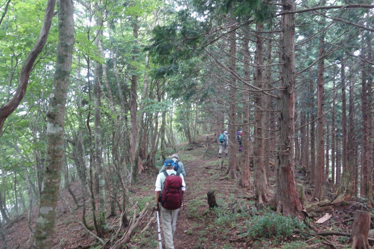 23. 尾根筋を下っていく