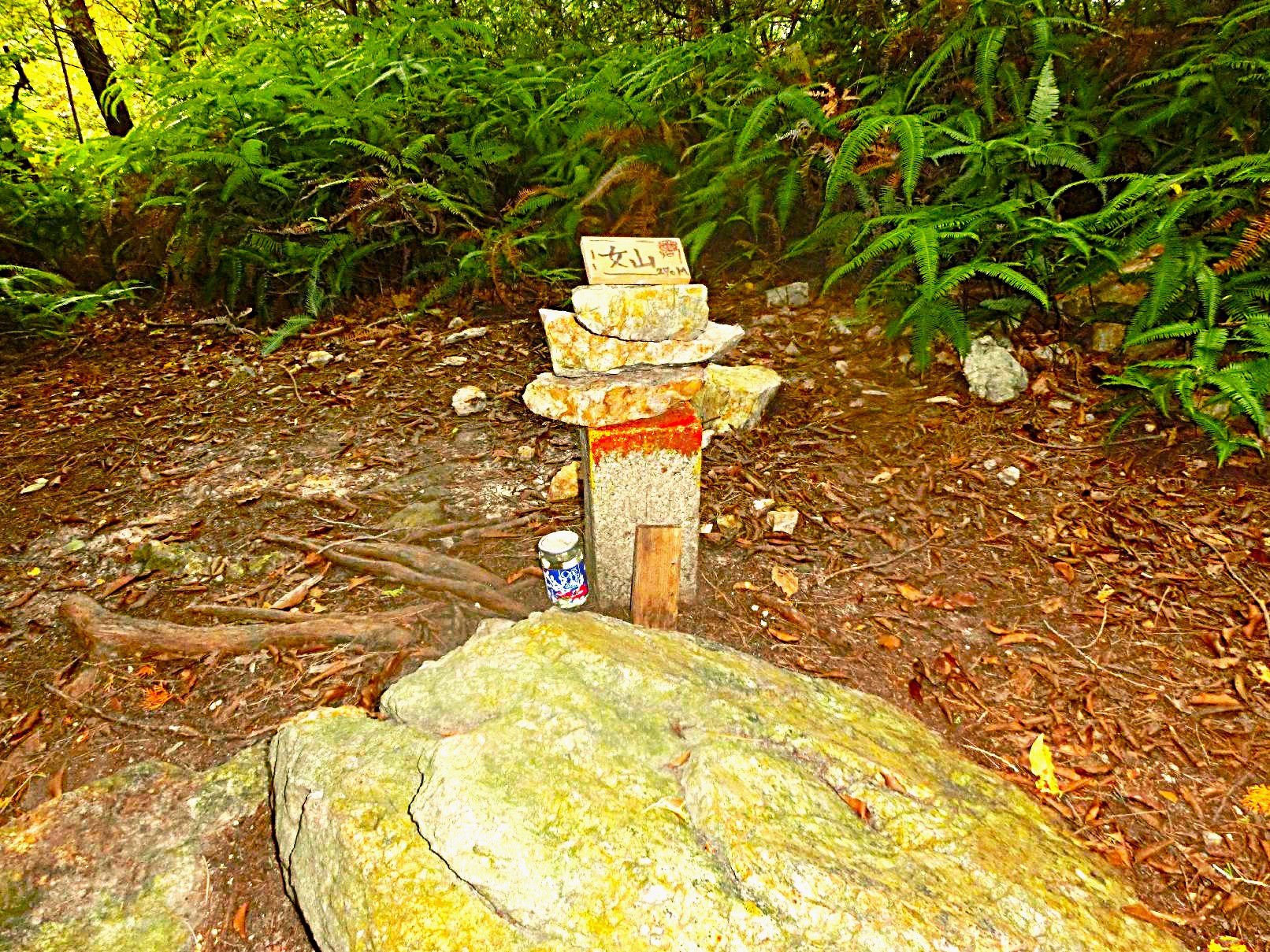 ２２．女山山頂
