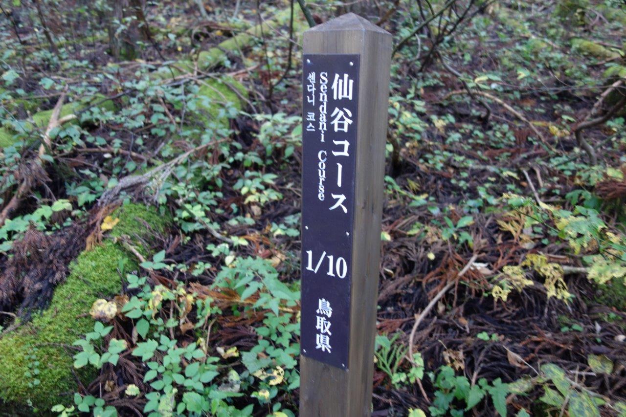 5. 一定区間毎にこの表示が