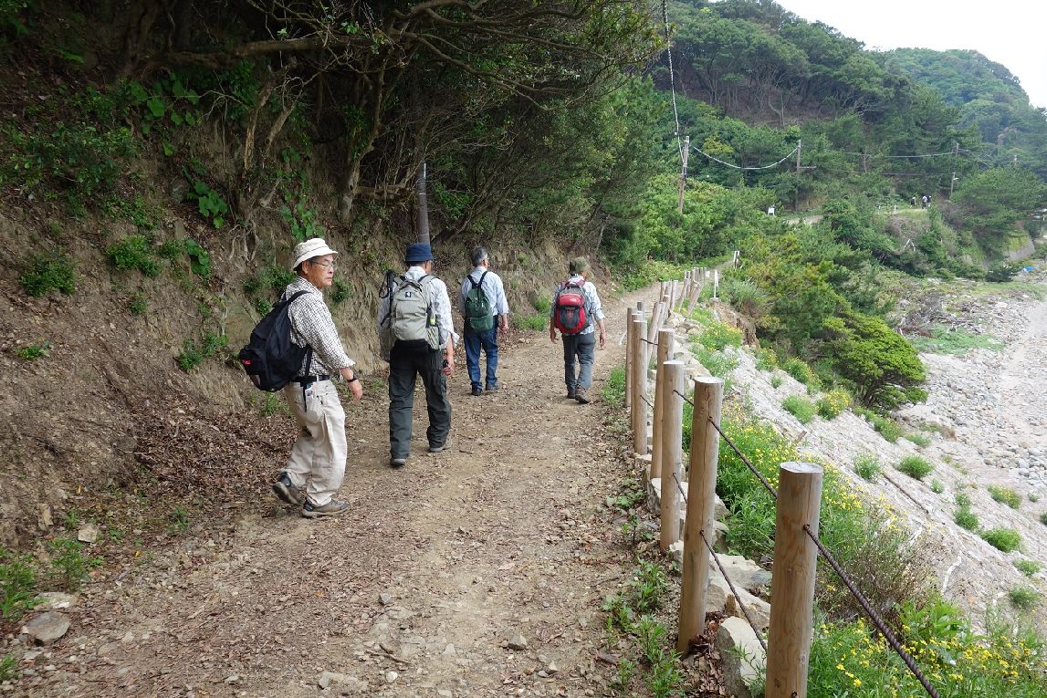 ５．杭とロープで安全確保された道