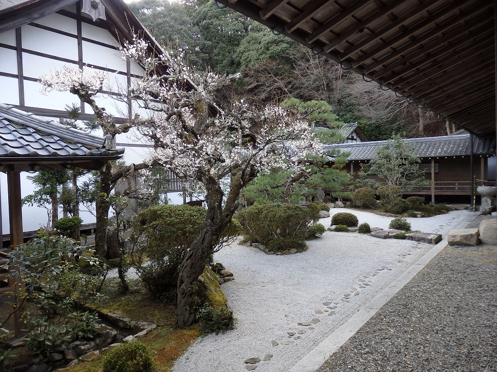 西教寺回廊内の庭園