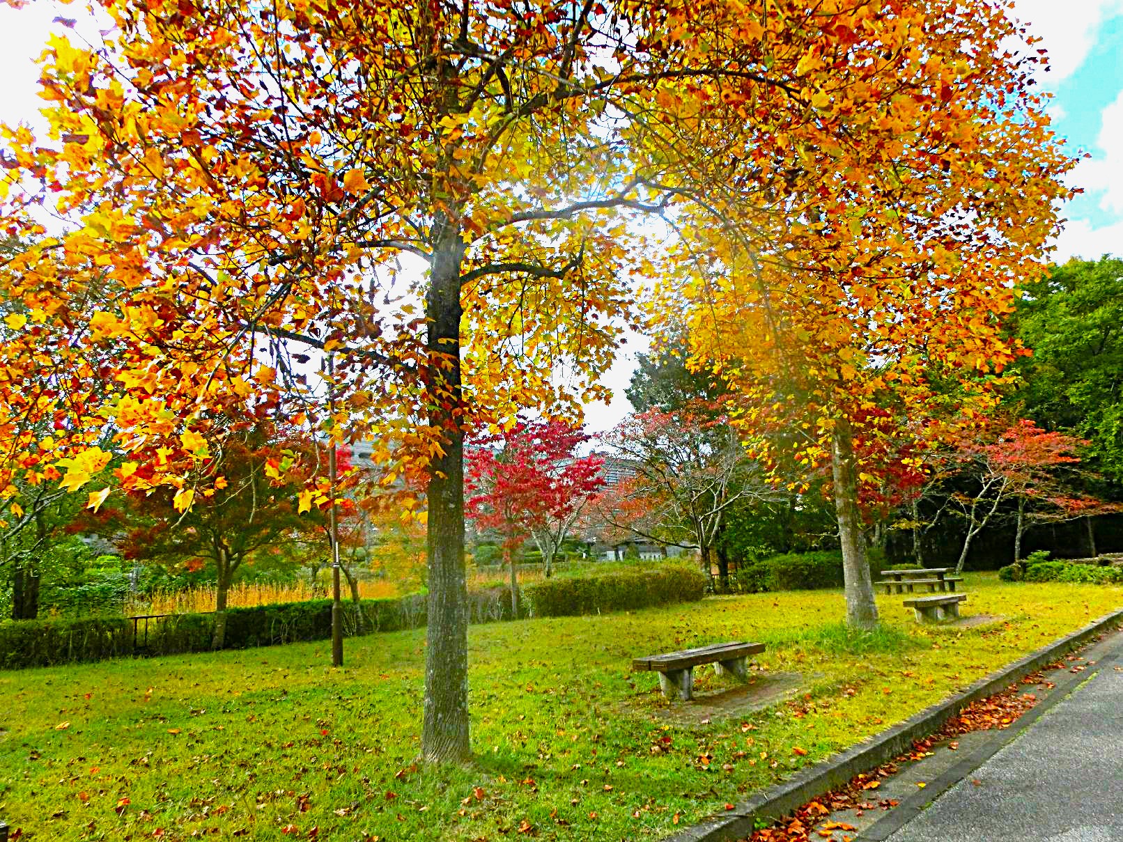 14．美しい遊歩道