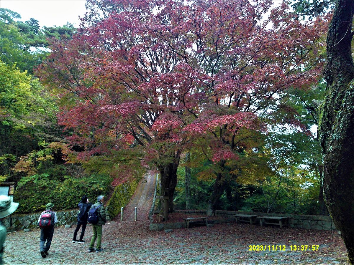 ２１．高城山の登り口