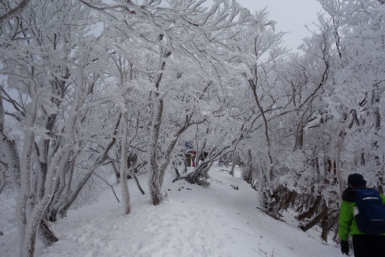 １１．霧氷に覆われた稜線を上る
