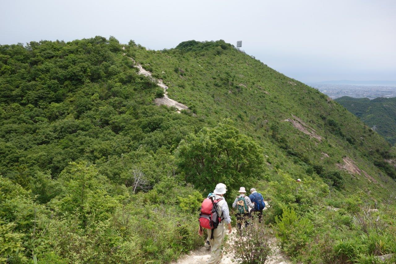 22. 目的の高御位山はもう少し