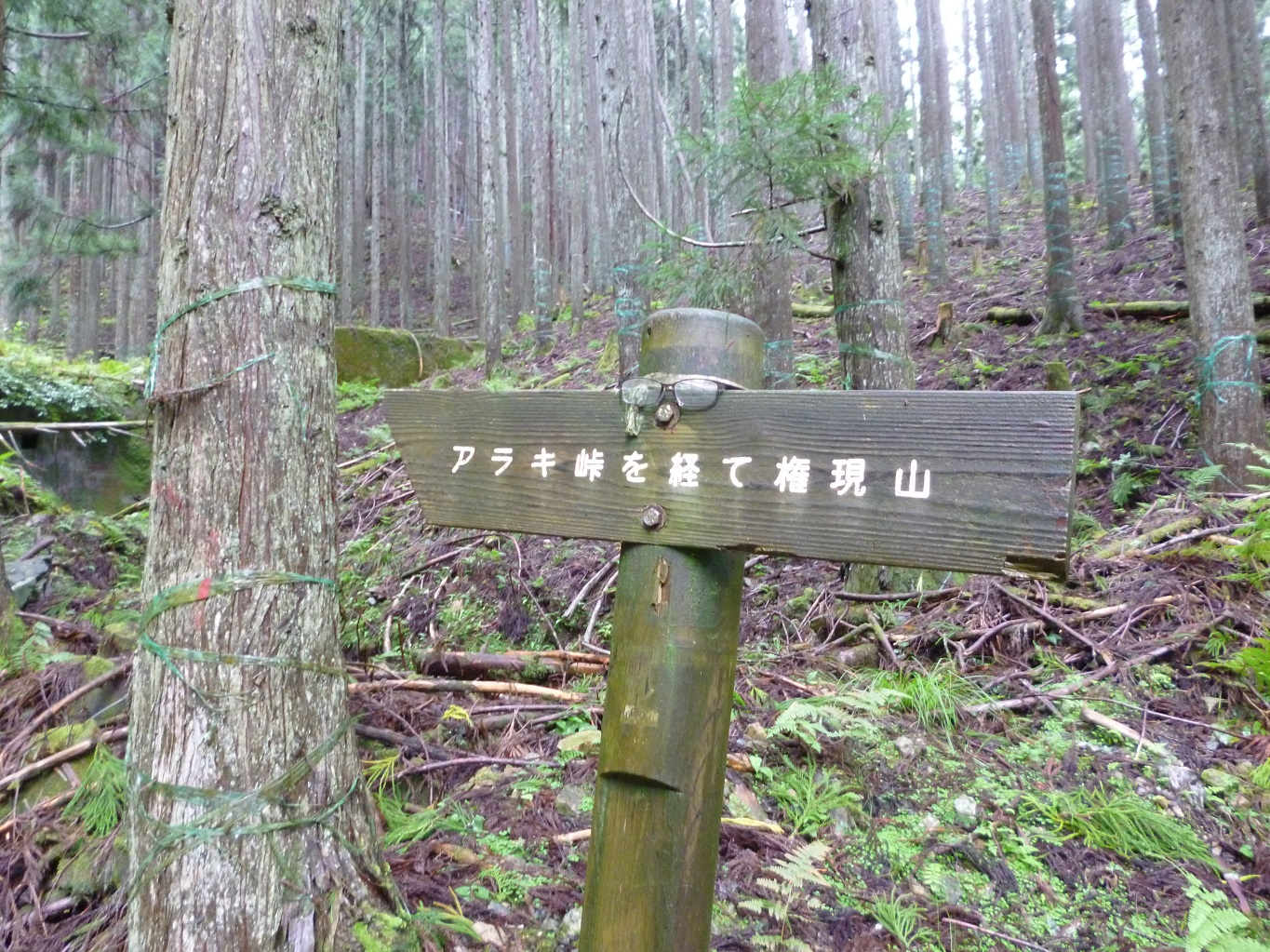 6. ここから山道に入る