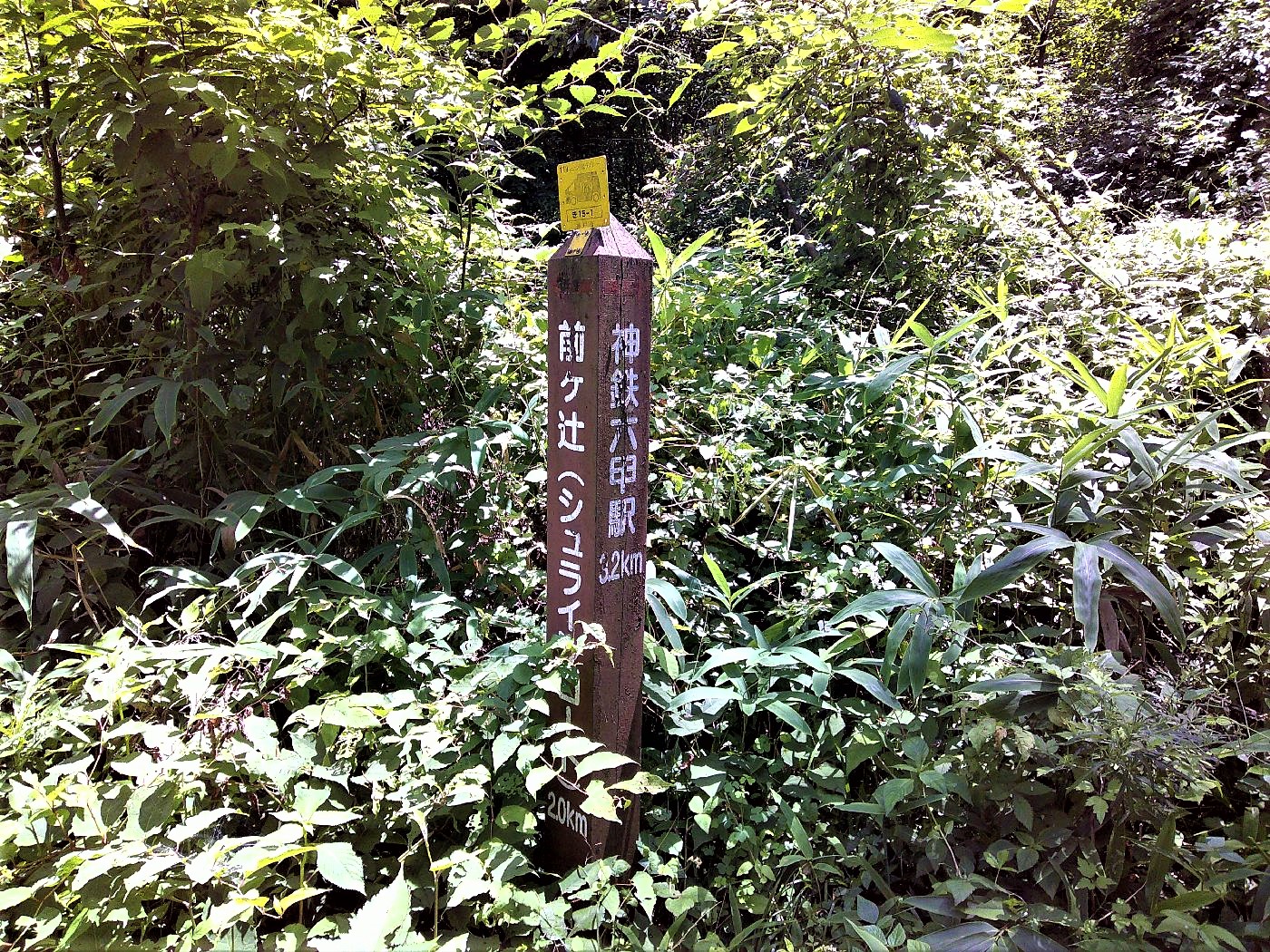 １７．茶園谷分岐の道標