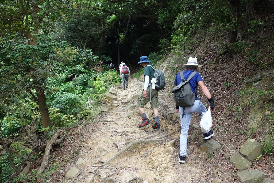 ７．灯台目指し山道へ