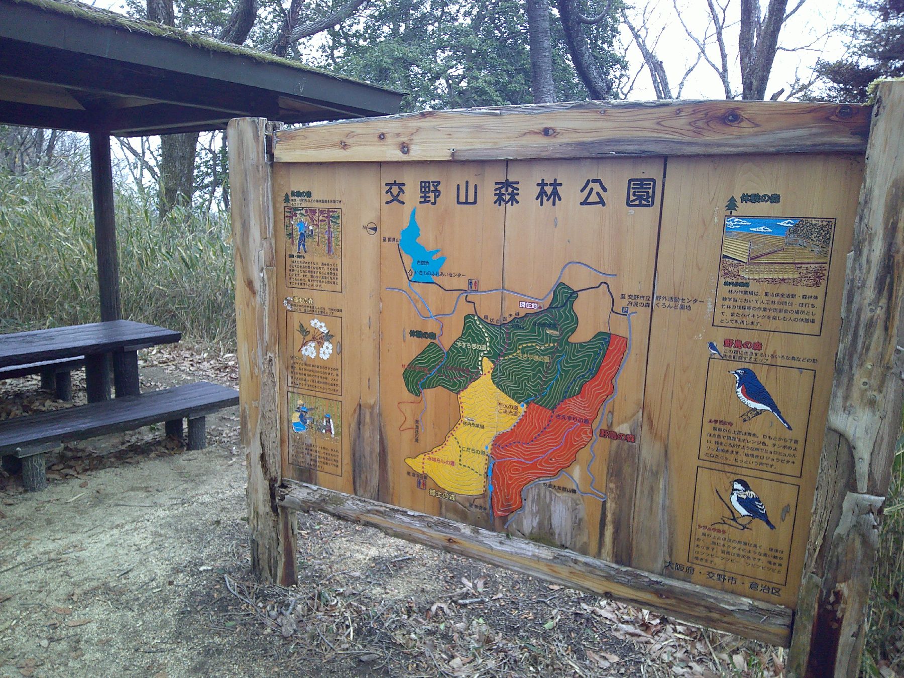 ８．交野山森林公園