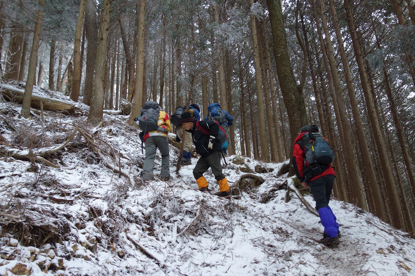 6. 小峠からの急坂を登る