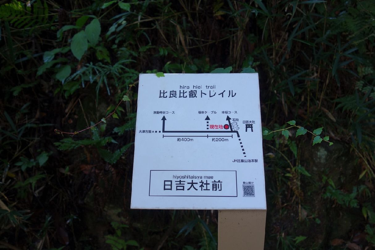 ４．今回は本坂コースを登る