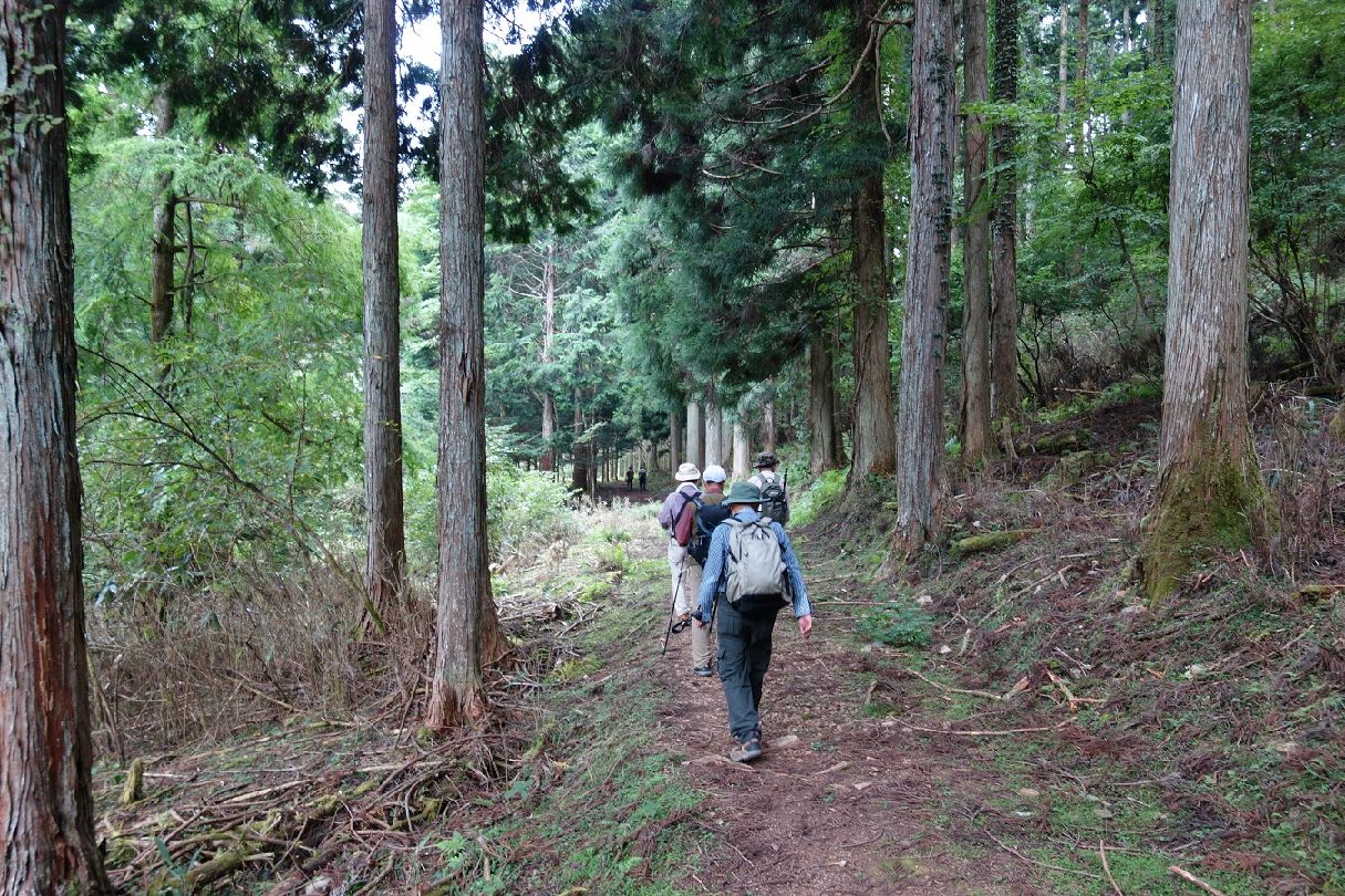１７．フラットな女人道を進む