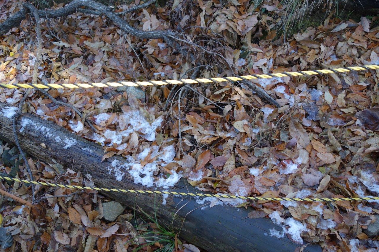 15. 日の射さぬ道端に昨晩の雪が残る