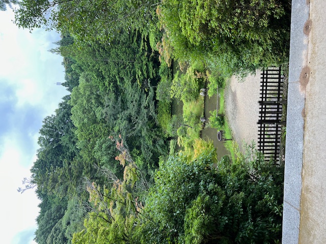 ２．円成寺の庭園