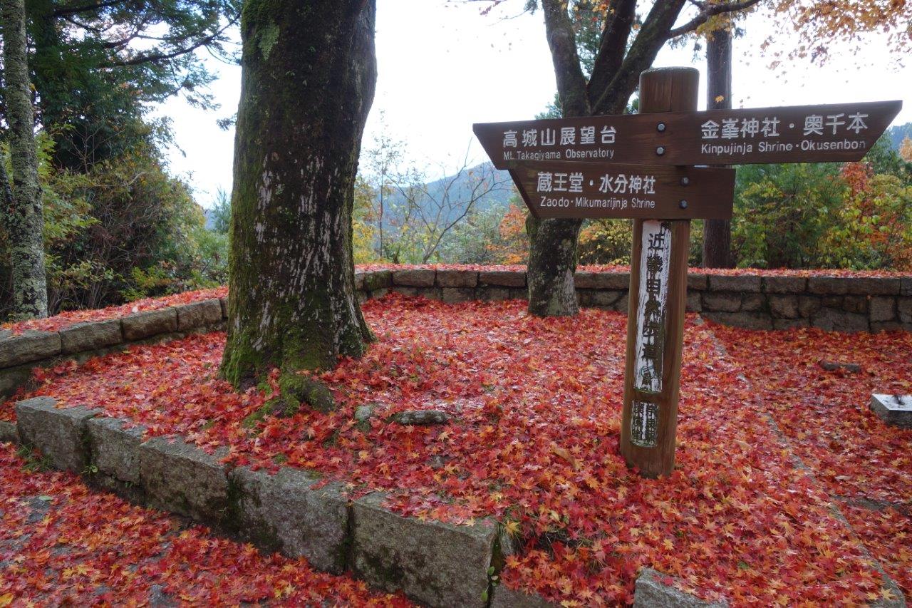 15. 紅葉の絨毯で覆われた高城山の案内板