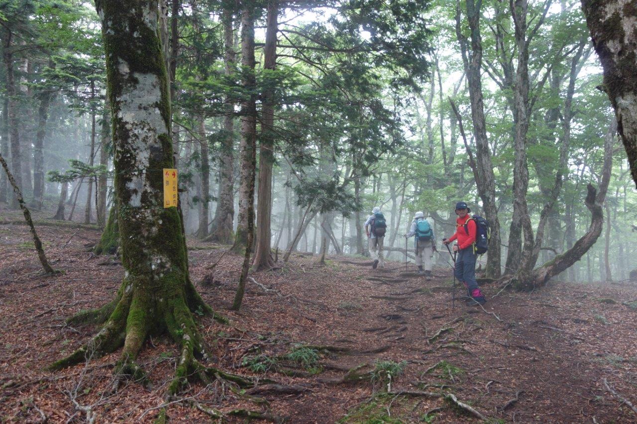 18. 下りを急ぐ