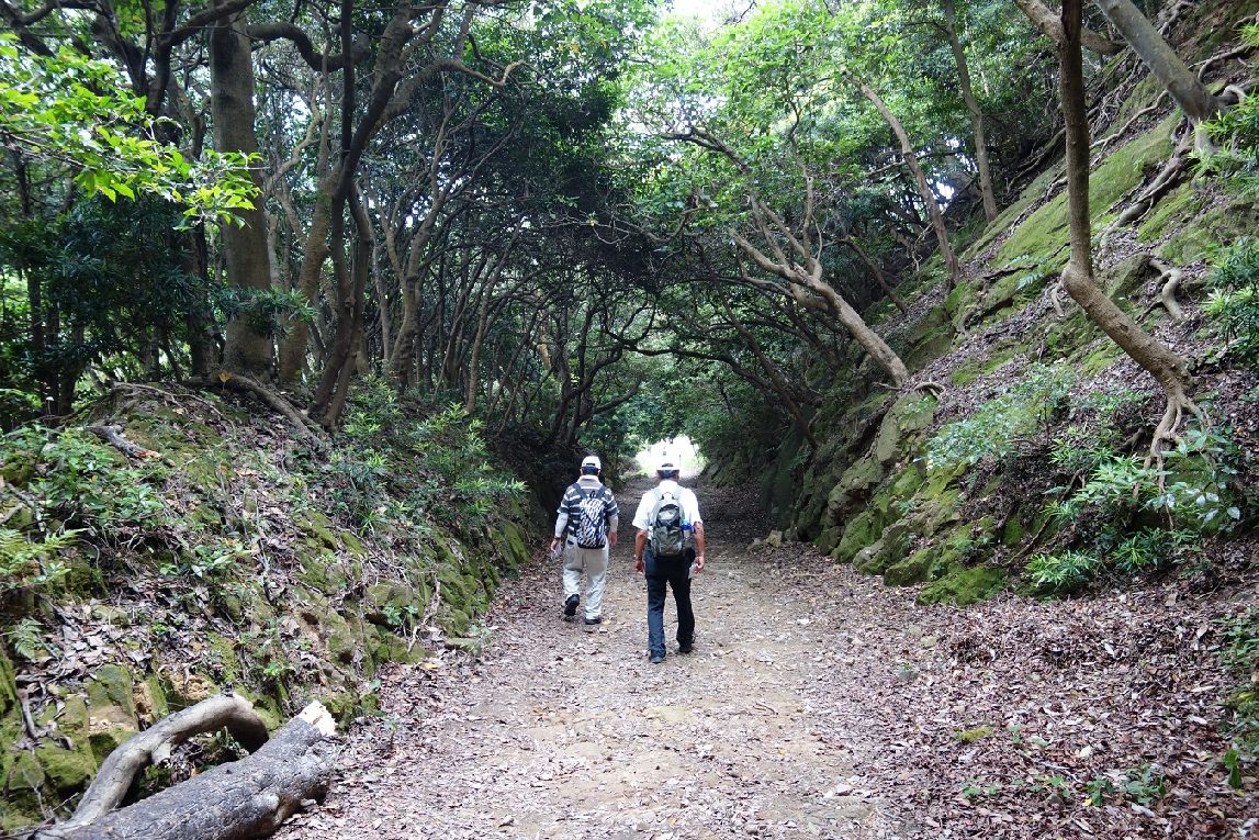 １２．蛇ヶ池南端へ向う