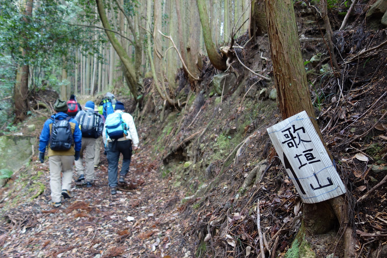 6. 間もなく山道に入る