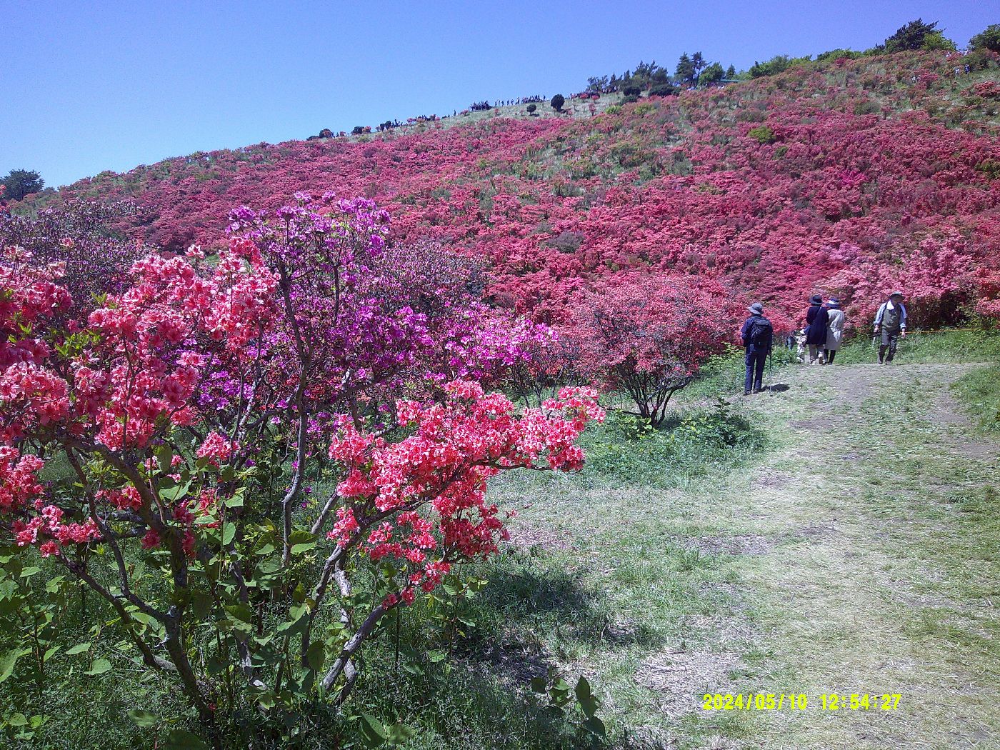 ２５．ツツジ園から大和葛城山頂方面