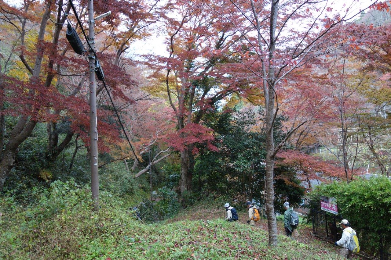 26. 最後の坂、七曲坂を下る
