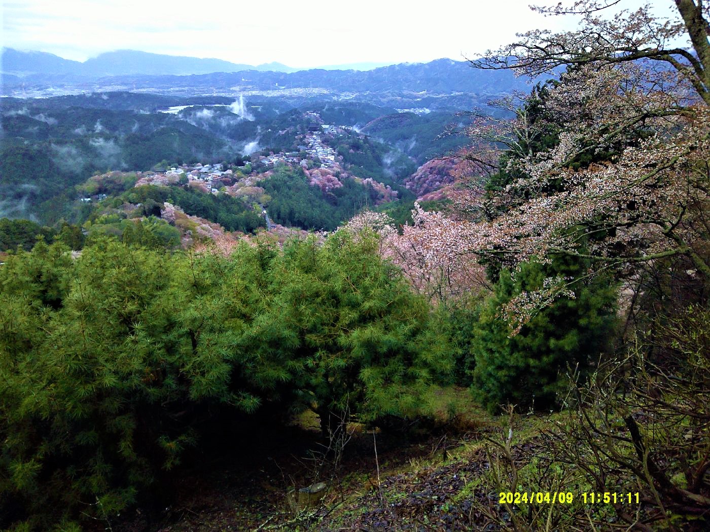 １３．上千本からの絶景