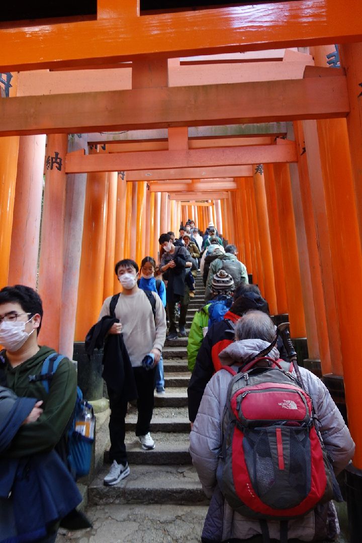 更に石段を登って行く