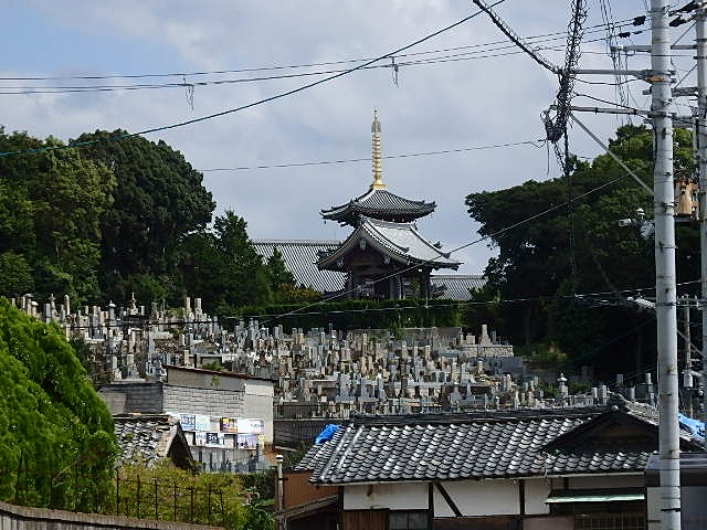 ⑨山合に長慶寺が見えます