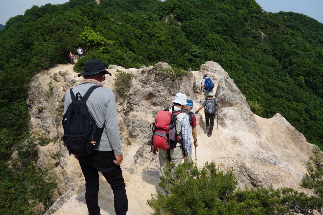 35. 順番に馬の背を渡る