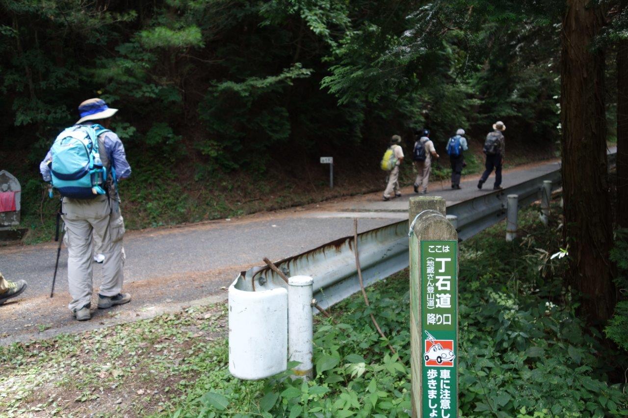 15. 二十一丁、林道に出る