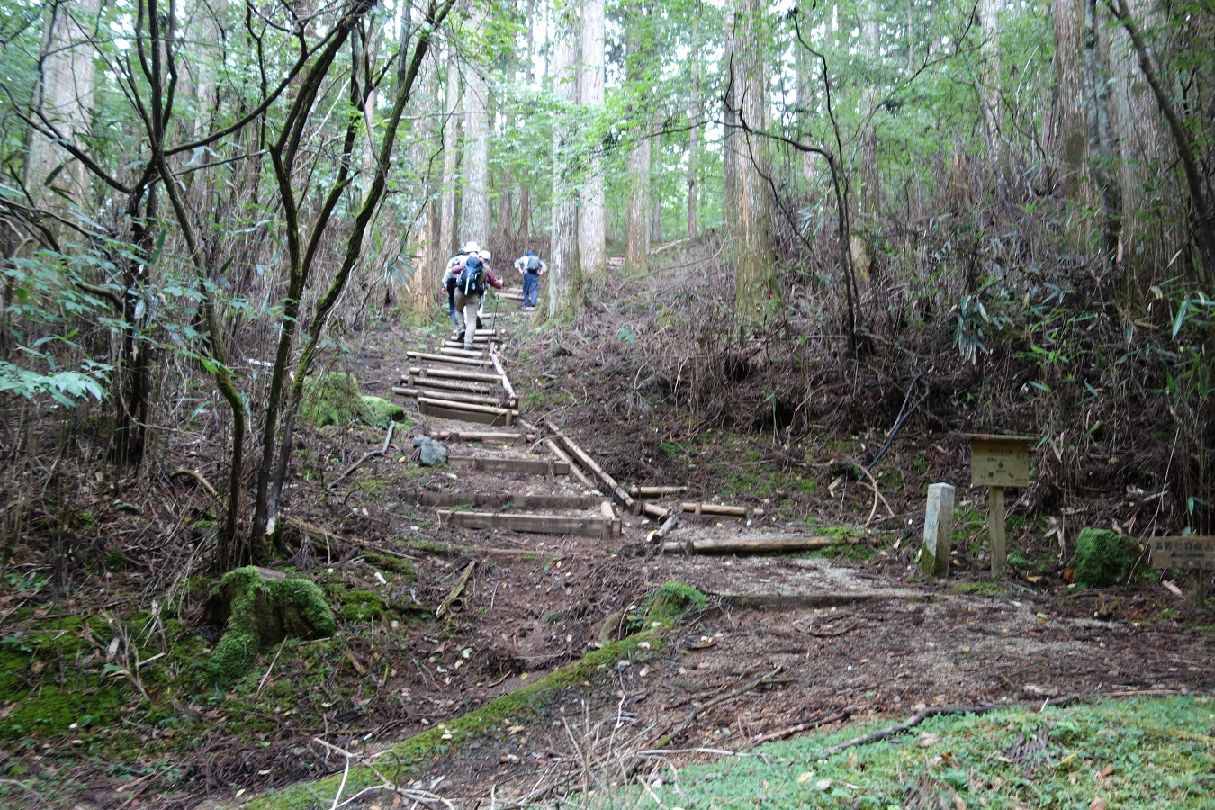 １９．転軸山に向け最後の登りにかかる