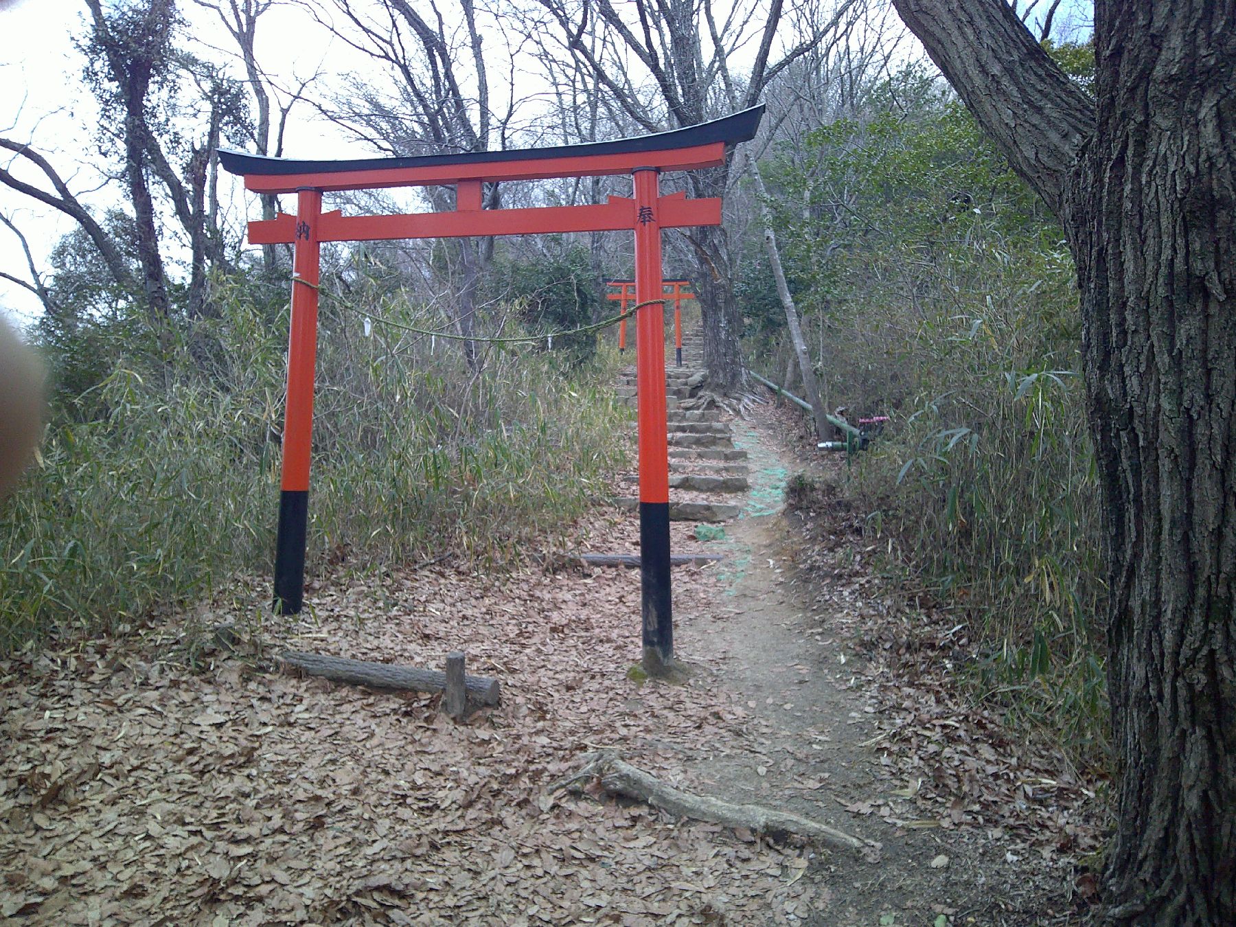 ９．交野山山頂前の鳥居