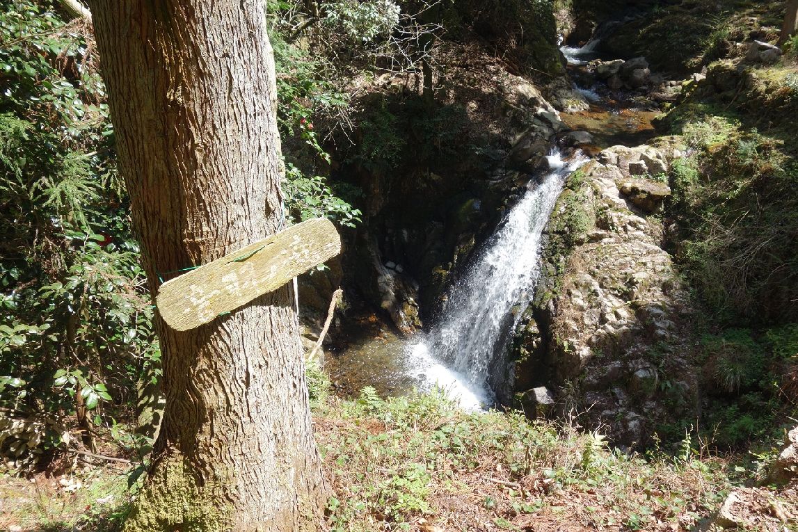 ８．音羽の滝