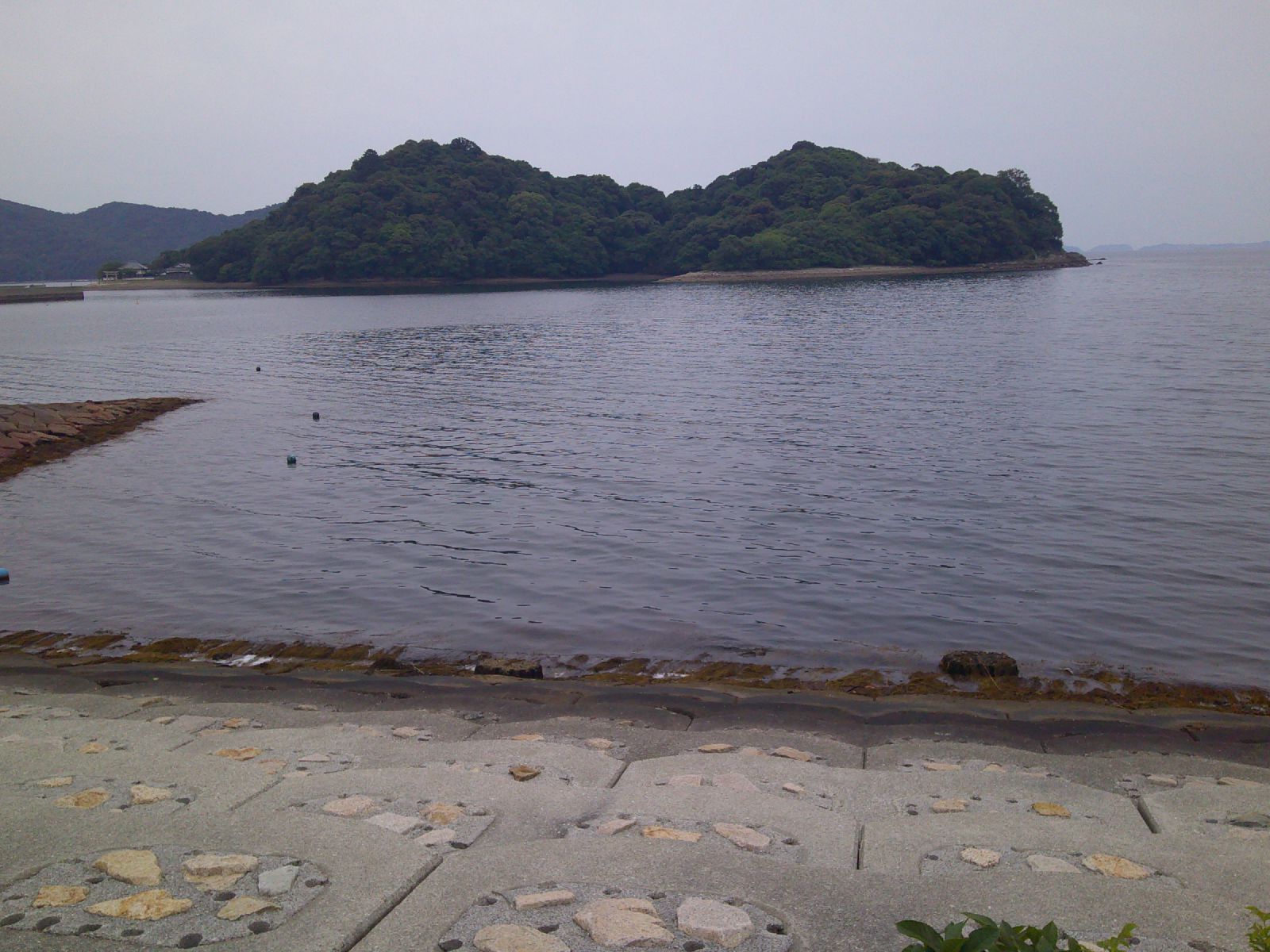 ２３．坂越湾海岸