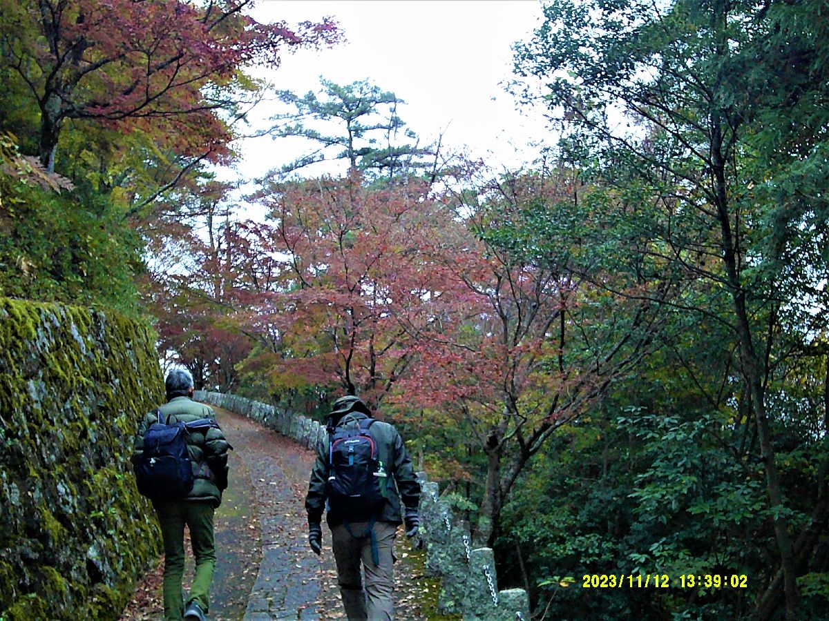 ２２．高城山に登って行く