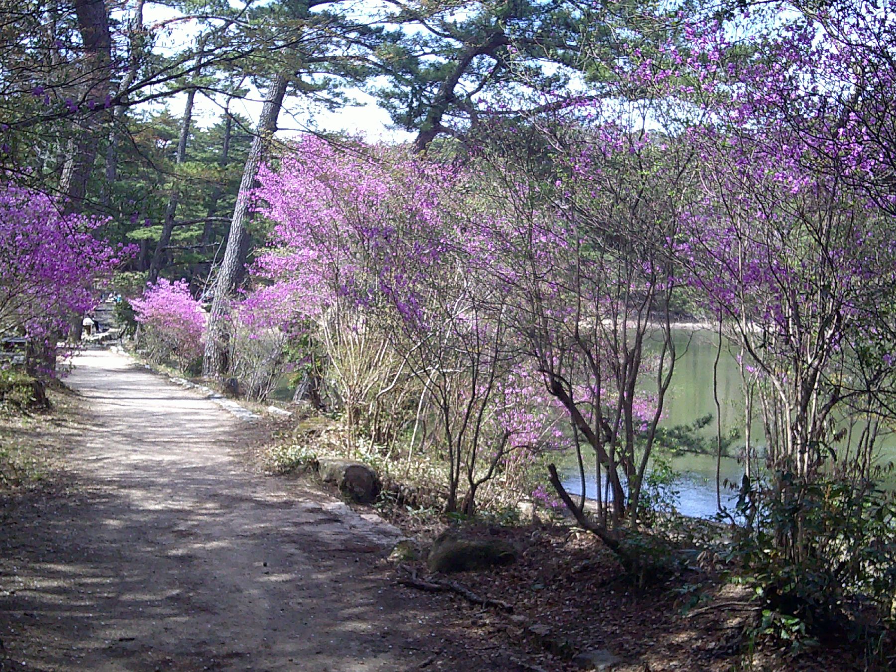 ２１．再度公園