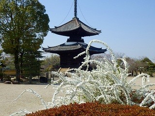 第24回(平成26年3月28日)太子町～1