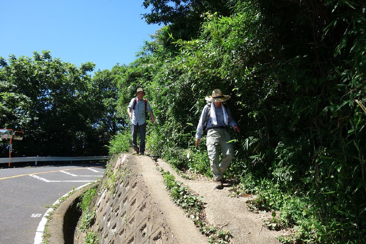 １７．山道を抜け、スカイラインに出る、向いはパノラマ展望台